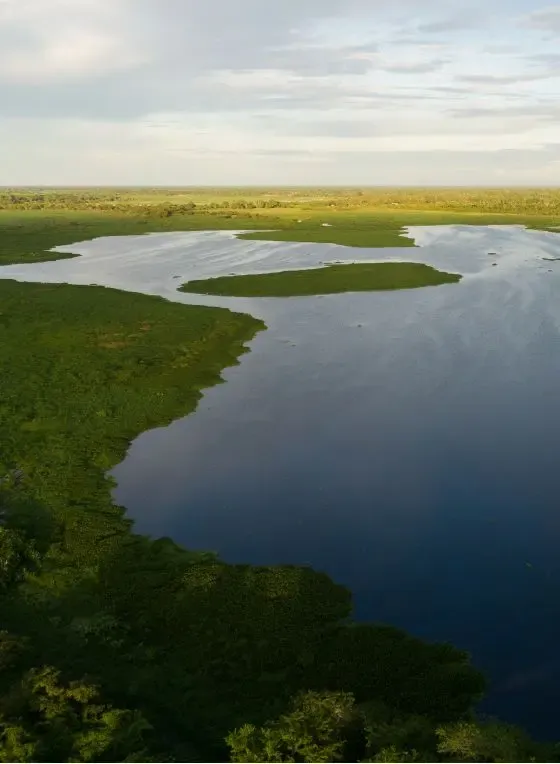 Image for Carbon Footprint Reduction section